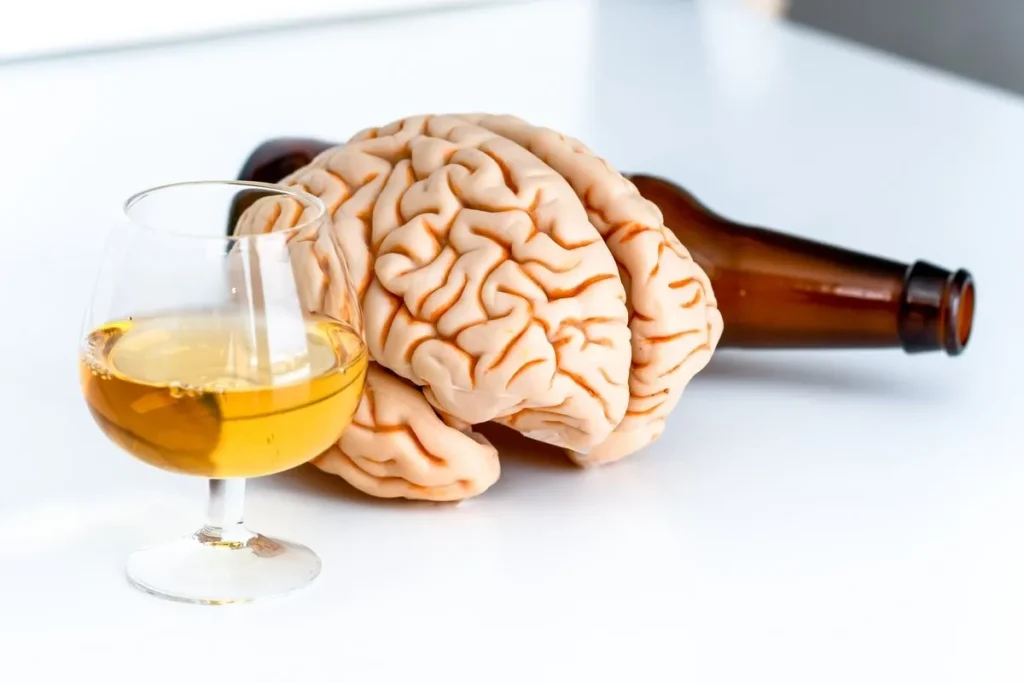 The Mechanisms of Alcohol-Induced Brain Damage