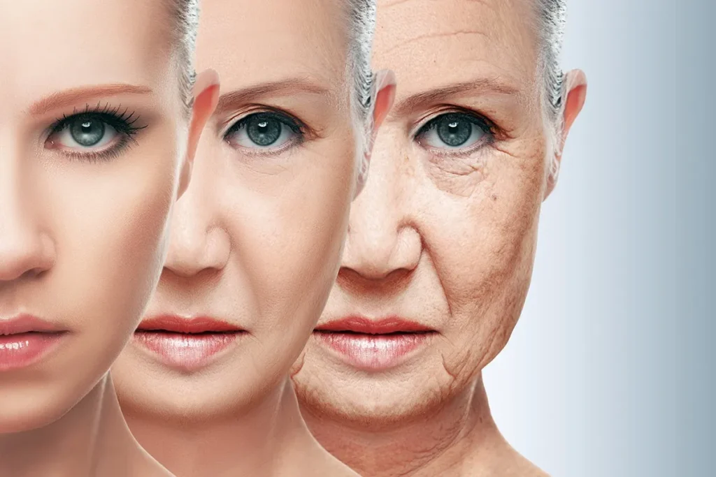 The Science Behind Aging Skin