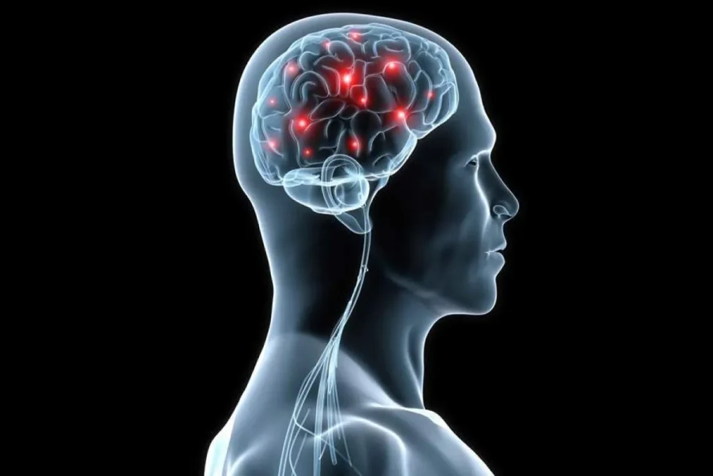 Hersenen met alcoholisme: De enge waarheid uitgelegd