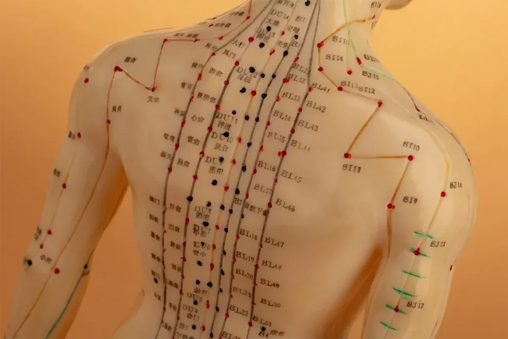 Chart For Acupressure Points: Great Healing