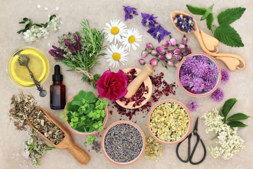 Herbs For Depression: Natural Relief That Works