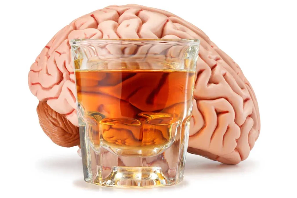 Long Term Effects Of Alcohol On The Brain