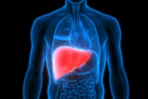 Illustration of a healthy liver