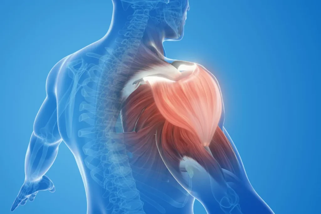 Aching Muscles And Joints: Powerful Relief