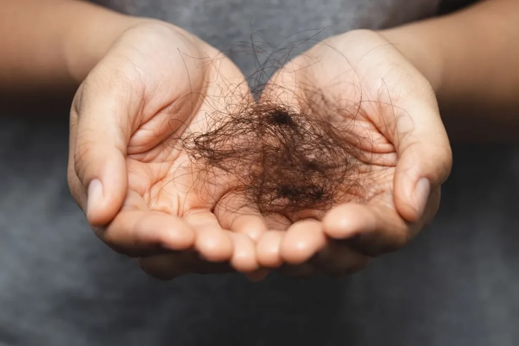 How Many Hairs Do Humans Lose A Day? Facts