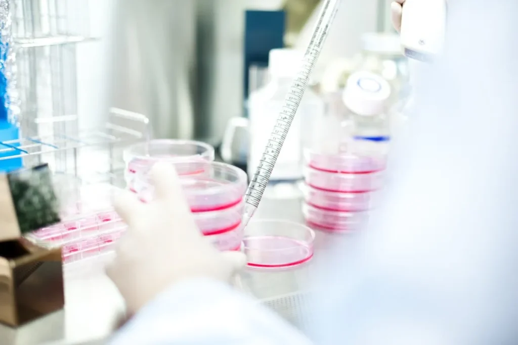 Stem Cells Hair Growth Therapy: Amazing